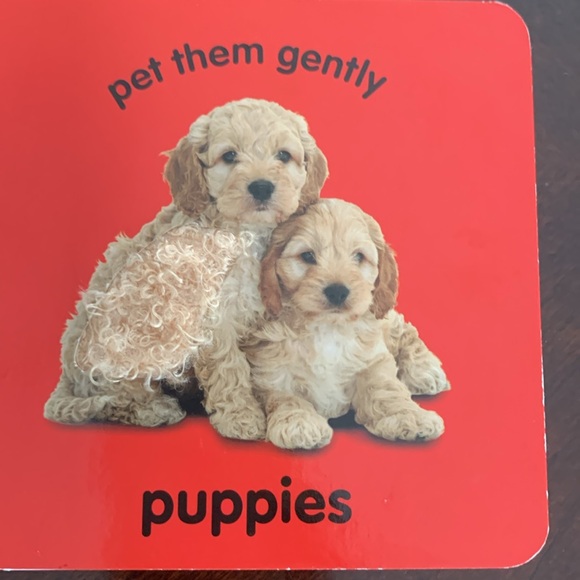 SOLD - Not For Sale
3 for $5 - Cuddly Animals - Touch and feel book - Picture 4 of 4